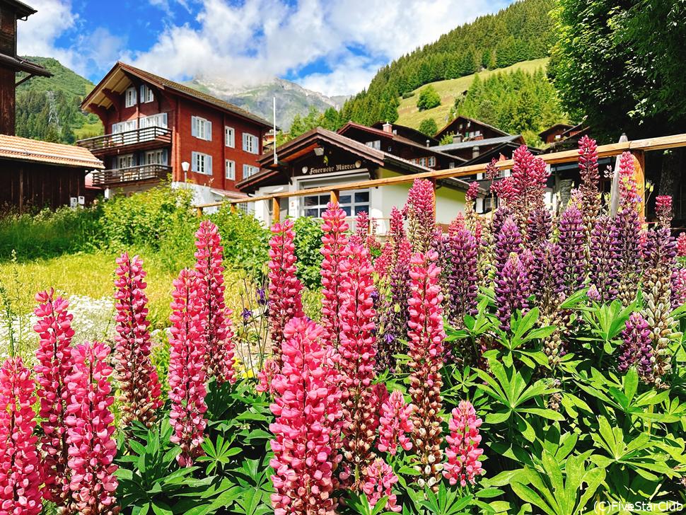 夏場は花がそこかしこに咲き乱れ絶景!