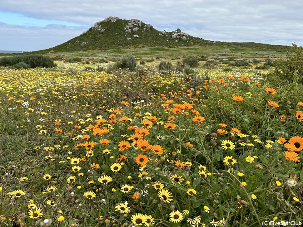 ウエストコースト国立公園