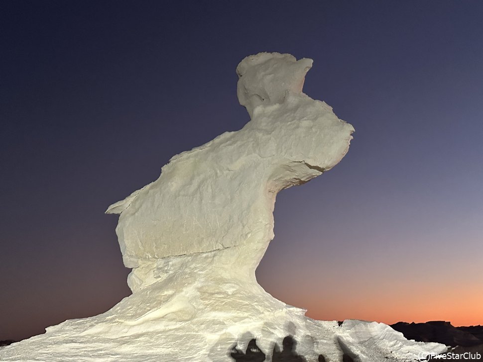 夕暮れ時の白うさぎ