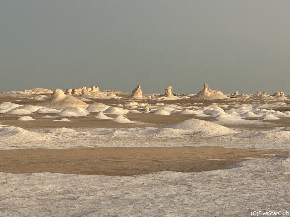 どこかの惑星に紛れ込んだみたい