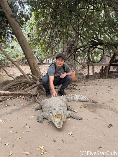 カチカリー・クロコダイルプール