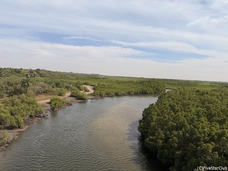 熱帯サバンナ気候のガンビア