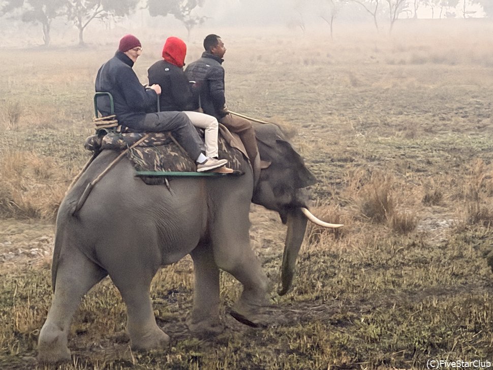 エレファントバックサファリ