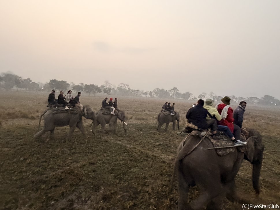 エレファントバックサファリ