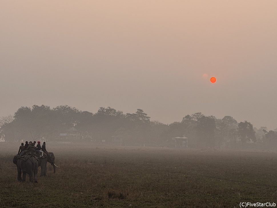 カジランガ国立公園・早朝の風景