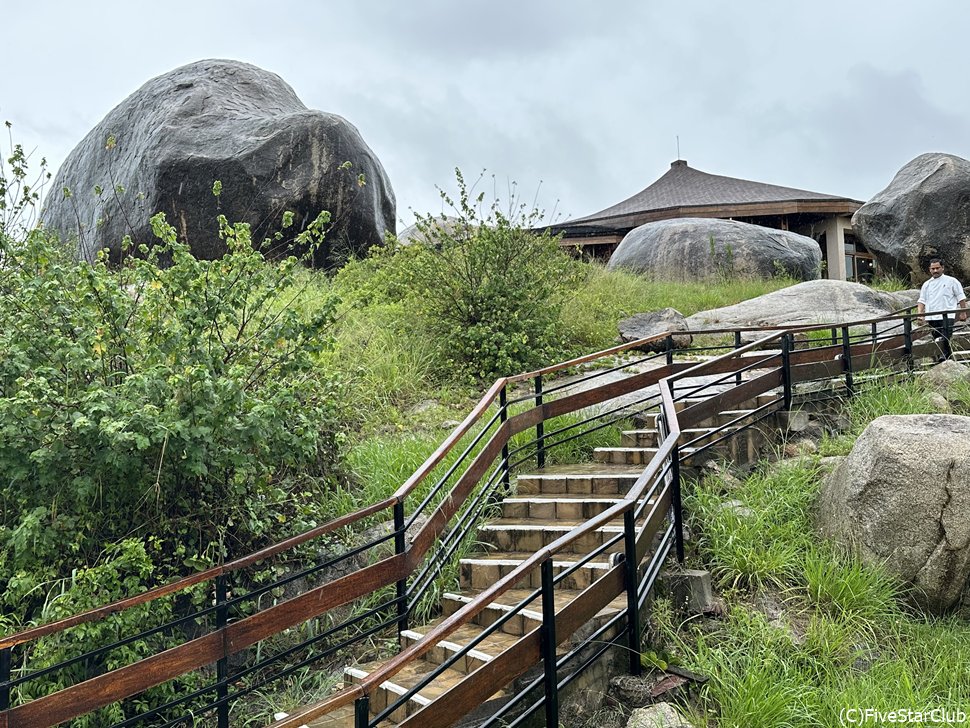 ワイルドライフロッジの庭。ここに時々象が遊びに来るそう