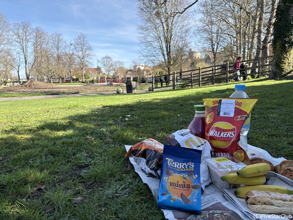 アレクサンドラ公園でピクニック