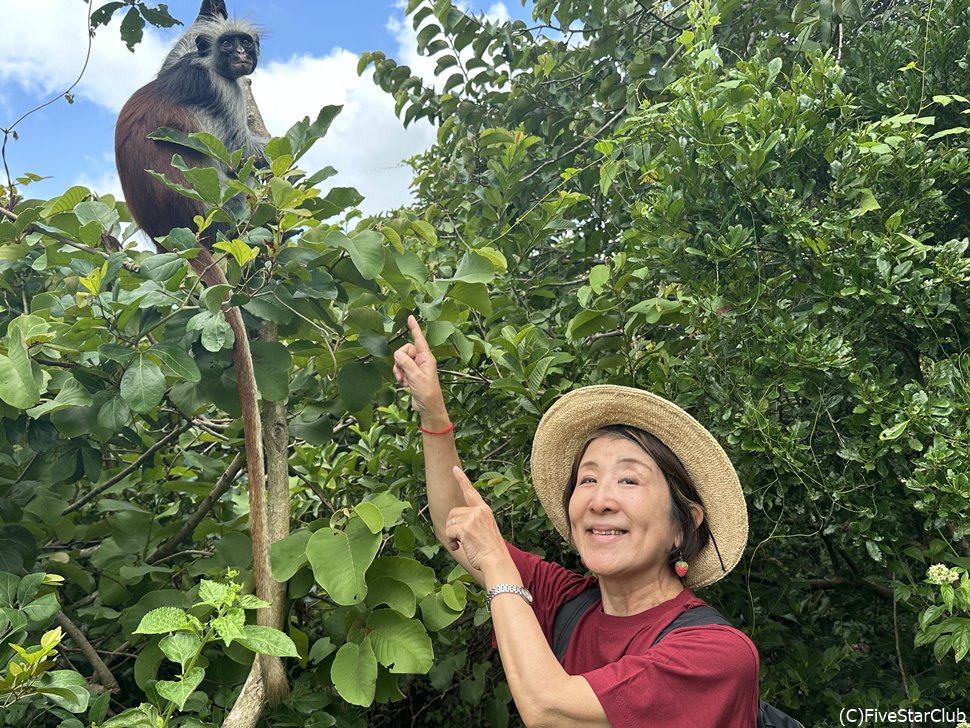 ジョザニ保護区も久しぶりに再訪が叶った