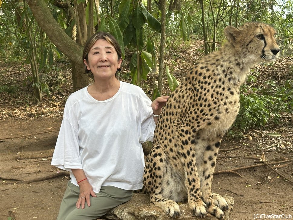 チーターとのふれあいも<チーターズロック/ザンジバル/タンザニア>