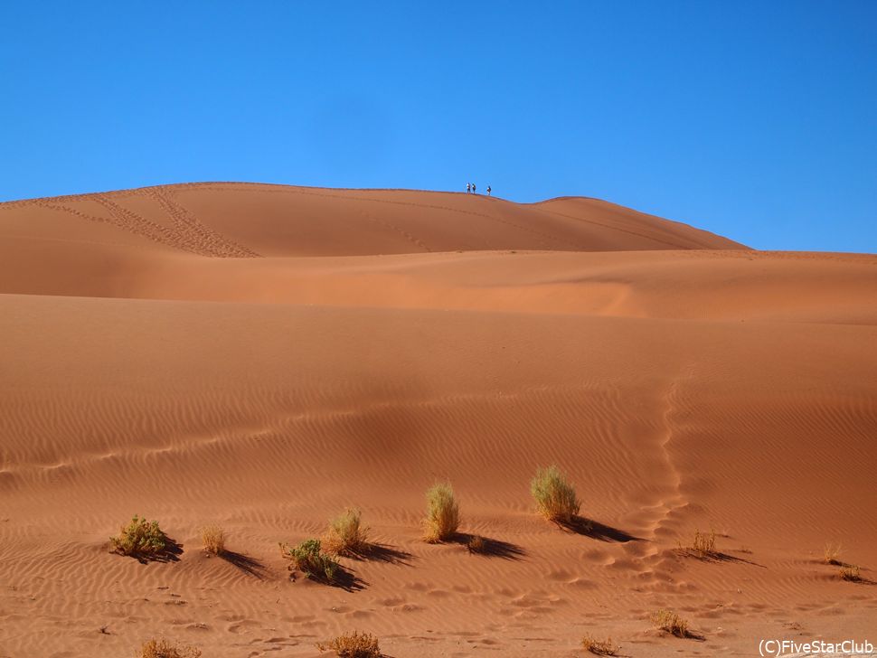 ソッサスフレイ大砂丘＜ナミブ・ナウクルフト国立公園＞
