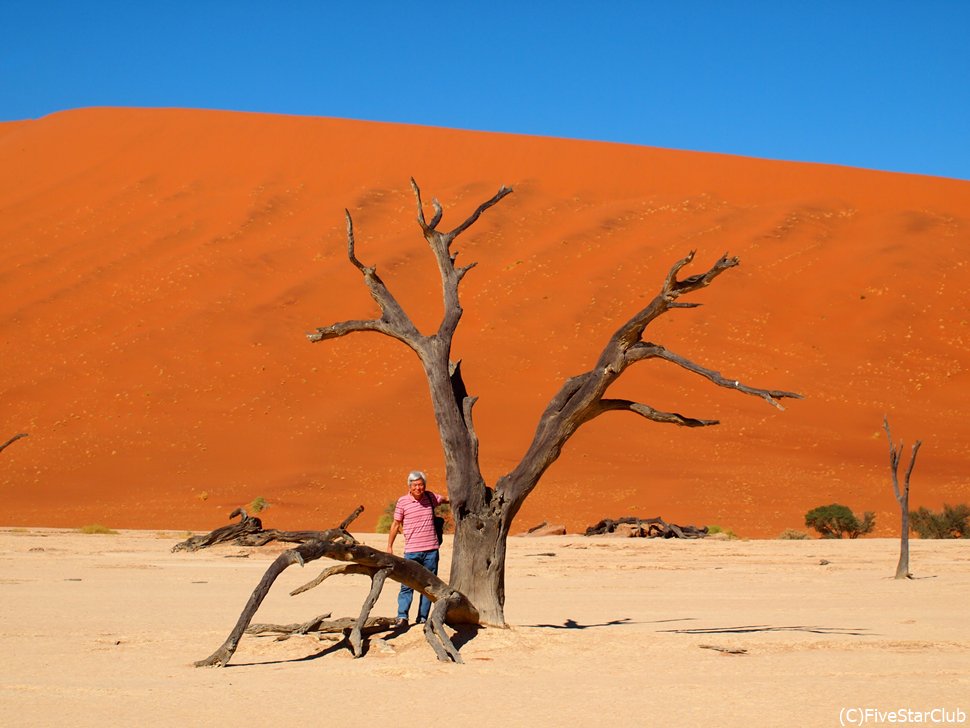 ソッサスフレイ大砂丘とデッドブレイ＜ナミブ・ナウクルフト国立公園＞