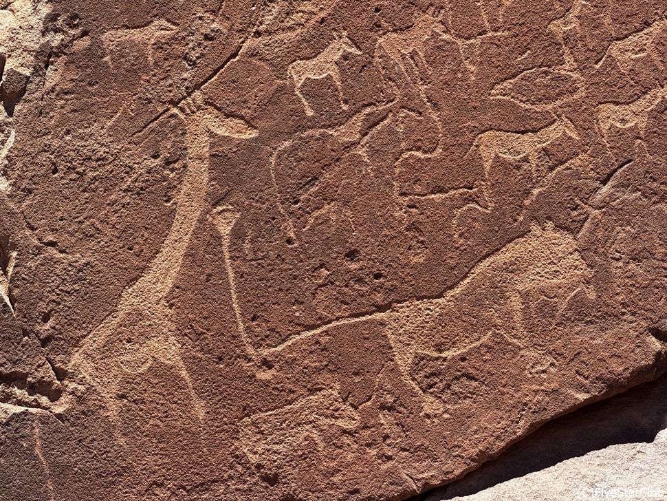 ブッシュマンの岩絵 width=