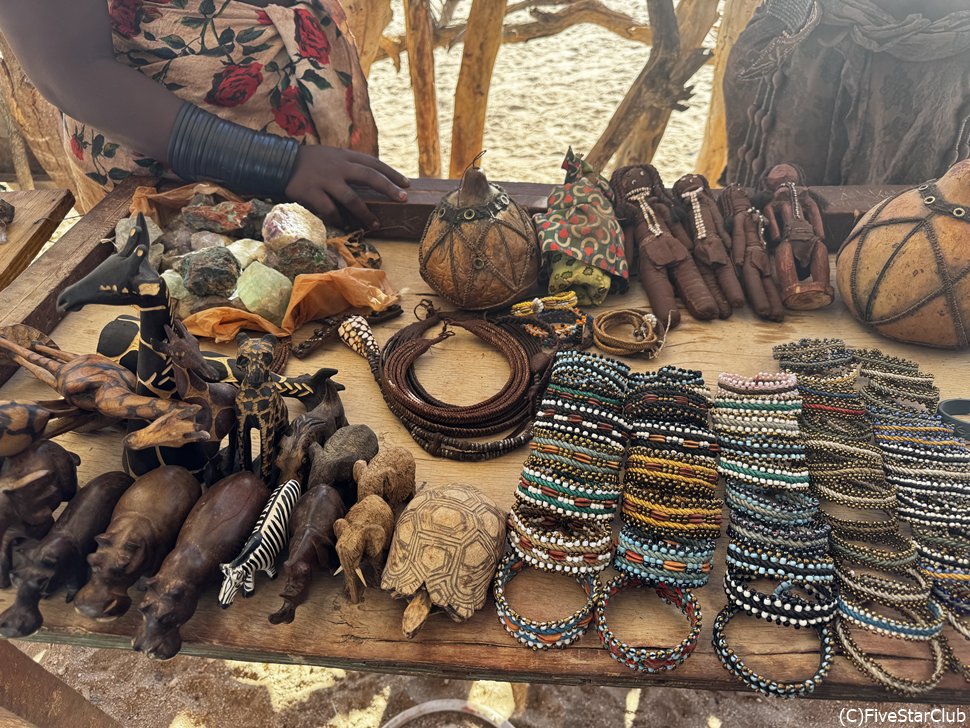 ヒンバ族の村訪問＜ダマラランド＞