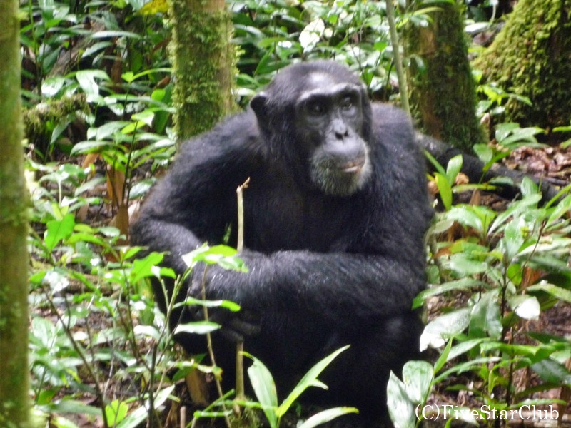 ウガンダの良さを体感