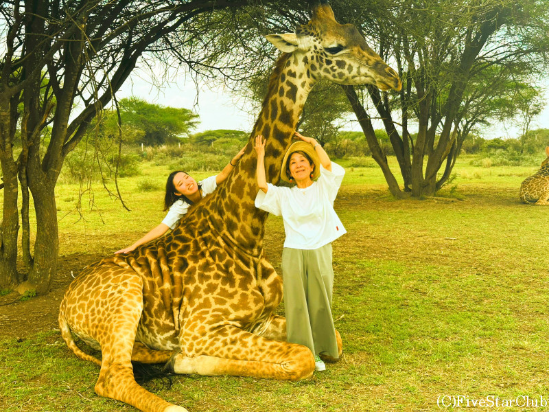 動物とのふれあいが楽しめる
