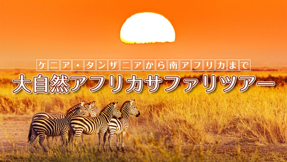 アフリカサファリツアー特集 海外旅行 海外ツアーの専門店ファイブスタークラブ Five Star Club