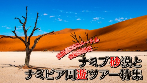 ナミブ砂漠／ナミビアツアー特集 | 海外旅行・海外ツアーの専門店