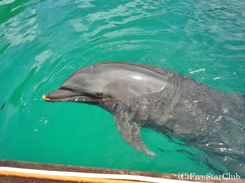少人数でゆったり楽しむ旅